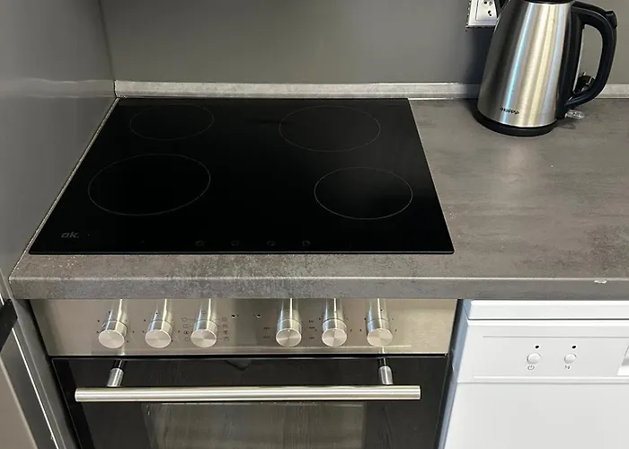 Monteurwohnung Ferdinand Apartment